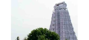 33. திருவைகுந்த விண்ணகரம்